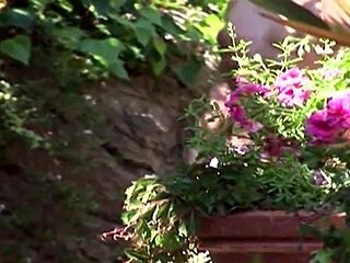 Lauren Phoenix bends over in fishnets for deep anal with black cock