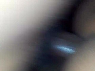 In this light scene, explore something simple and enjoyable