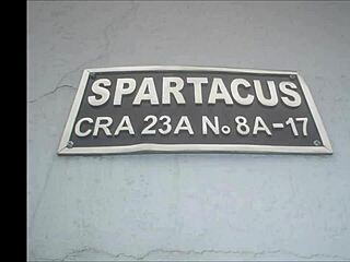 Is the Halloween party clandestina swinging wild?
