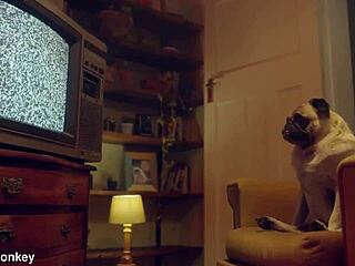 Liz Rainbow, blue-eyed teen, gets mouthful of cum after blowjob.