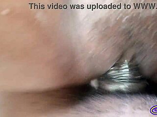 close-up pussy fucking with clothes ripped and creampie
