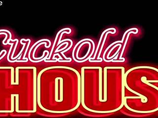 Marido corno prepara surpresa com 3 paus for esposa gordinha.