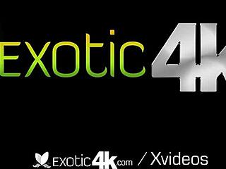 Hey, check out these exotic busty mixed babes getting oiled up and stuffed with huge cocks! 🔥🍆