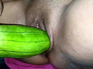 this christmas season brings joy and cheer to everyone