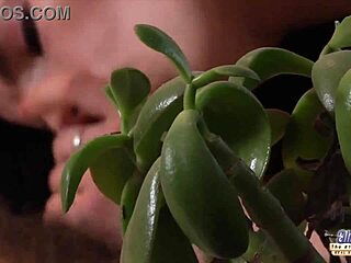 Young secretary rides boss cock in office spreading legs for pussy fucking then gives blowjob with cum swallow