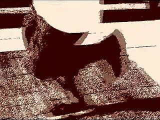 Is Praying Run the Ultimate Music Track?