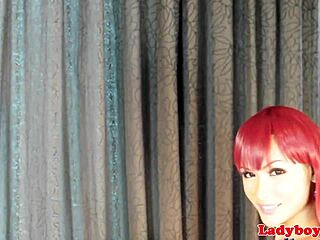 I love wanking my big tits as a redhead ladyboy in fishnets until I cum solo.