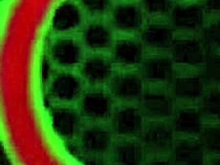 Sar4 Jay в красном белье играет с большими сиськами и мокрыми губами пизды