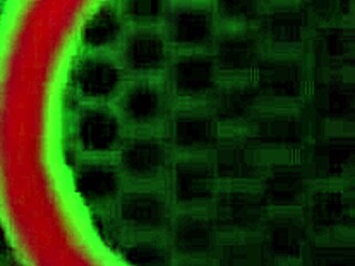 Whoa, it's Rome Major banging Marcy Diamond's plump pussy hard by the pool! 💦🍑