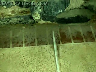 Whoa, it's Rome Major banging Marcy Diamond's plump pussy hard by the pool! 💦🍑