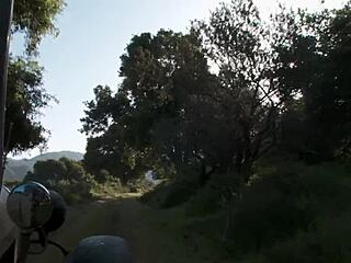 Amber Rayne, Hannah West, and Kaci Star feel the rush in an outdoor gangbang. They handle blowjobs, deepthroat, and creampie with hairy pussy action.