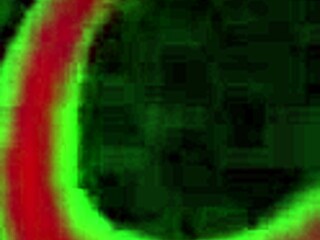 看PAWG Jenna Ivory深喉Rome Majors黑人大屌后狗交牛仔狂操大屁股奶子乱晃好兴奋