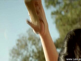 Blonde amateur starts fingering and licking mature shemale's pussy. They kiss and striptease with clothes ripped in lesbian session.