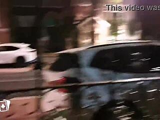 arbustos de amsterdam club publico de putas estudio de sexo hardcore para adultos.