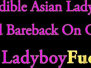 Hé, perverse getatoeëerde Thaise ladyboy Sugas Geeft Geweldige Head en Zuigt Lul Perfect