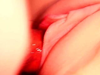 penetrating her shaved vagina and ass with toys for double fun every day!