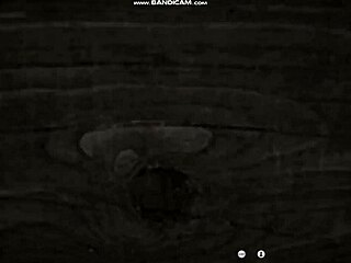 Whoa, check out sunbay city stories with all those erotic blowjob footjob handjob lesbian sex scenes