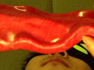 Giant wolf roughly invades male college student's mouth with huge deepthroat dildo toy action!