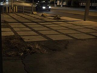 Stranded Teen 18+ Amateur Roughfucked Outdoors In Bondage And Domination!