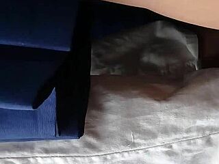 嘿公交车上性感拉丁妹裙底风光超诱人！