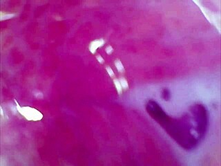 real pussy experiences intense orgasm with visible contractions as cam captures sperm in juice under microscope