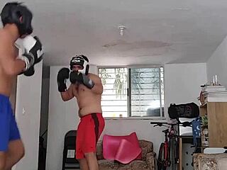 Amateur Boxing Workout Session