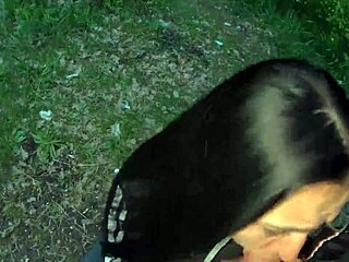 my brunette girlfriend gives pov blowjob with cum swallow in evening park outdoor sex