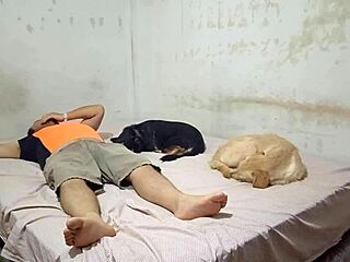 How Can This Peruvian Latina Bailarina Still Crave Movement But Choose To Ride Her Cousin's Cock With Intense Sentones Until He's Dry?