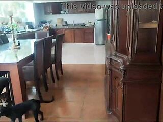 prohibido no follar a candyboom más si te visita que mujer de tanto mérito para quedarse en casa y disfrutar de una enlechada y mamada que putita tan divina