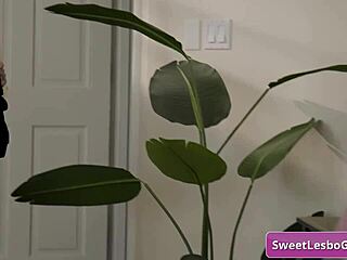 brunette teen kylie rocket gets seduced by blonde friend vanessa vega with tats in lingerie