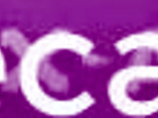 Why Settle for Pretty When You Can Dive into Damaged and Extreme Scenarios?