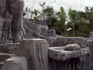 slutty blonde madison parker performs a detailed blowjob in this scene