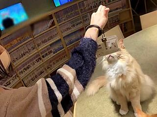 Curvy Japanese Cutie Teases With Big Tits In Steamy Homemade Action