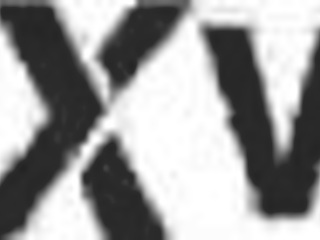 Culazo Jeans 1 Shows Off Stylish Fit!