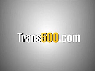 Ladyboy shows off skills as a wicked 10-pounder lover. she engages in anal assfucking and ass licking with blowjob sucking.