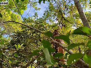 bbw babe takes big cock for intense anal assfucking with dripping cum and clothes ripped