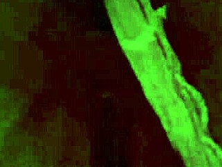 oh wow, check this sexy lingerie a fan gifted me wanna see how deliciously i masturbate in it