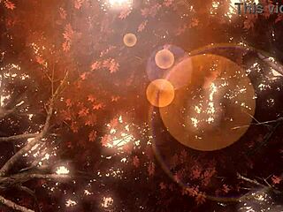 Hatsune Miku Boldly Poses In Full Nude Bunny Costume With Big Tits And Ass For Arabesque Project.