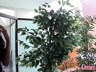 hey valerya pacheco, ready for these two guys to pound your big tranny ass bareback?