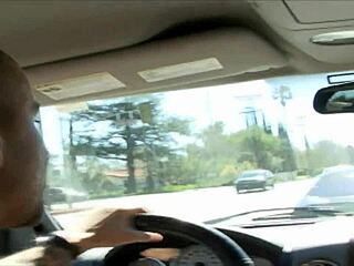 hey busty latina daisy marie rides hard cock in juicy pussy