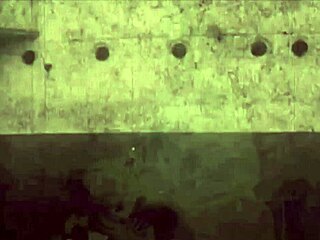 exploring vintage erotic art from antique comic collections in retro style