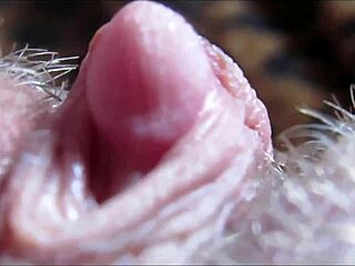BIG CLIT ORGASM CLOSEUP