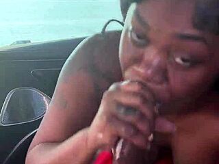 Wanna suck this dick sloppy by the lake?