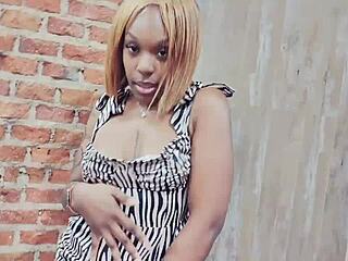 In the stripper club, the ebony woman danced and twerked, shaking her booty in a sexy dress.