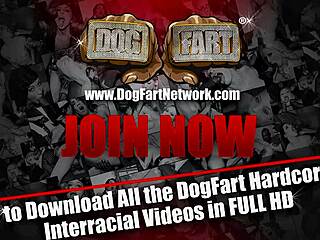 Chanell heart gets gangbanged by a group of white guys with blowbang bukkake and facial action