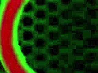 ginger mckay takes rome major's big black cock deep in group blowbang 😈