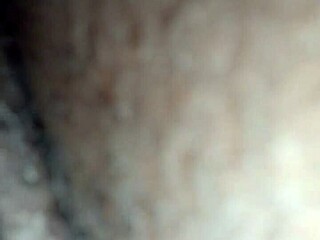 in the ring two fighters circled each other with intense focus and strategy.