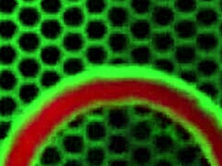 Wow, Nina Dolci And Sara Jay Enjoy Sensual Morning Sex With Coffee!