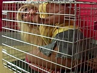 super submissive maxine x, with big tits and wet pussy, gets out of the cage in lingerie