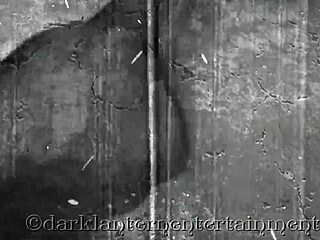 Dark Lantern Entertainment presents the classic tale of My Secret Life, exploring hidden desires in a vintage narrative.